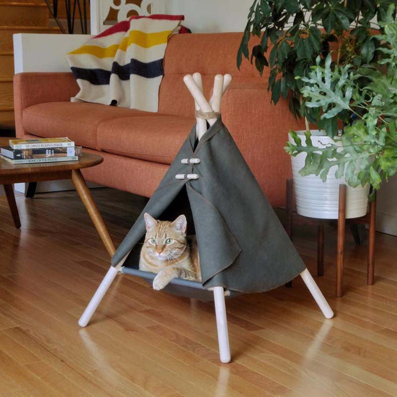 Round Plush Dog Bed or Teepee Bed? Honest Buyer Guide