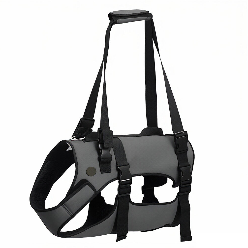 Training & Walking collection