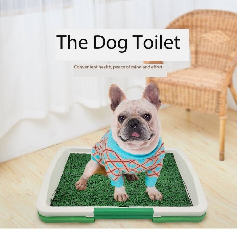 Indoor Dog Potty Tray with Grass Pad