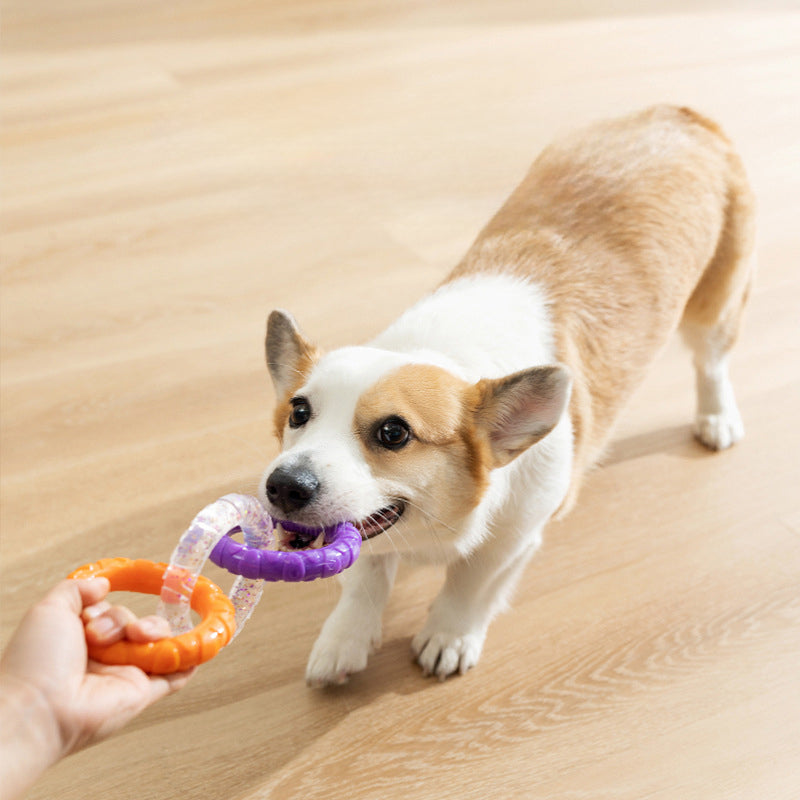 Petananda Floating Water Dog Toys Pet Flying Disk Training Ring Interactive Toy Puller Resistant Aggressive Chewers — in use