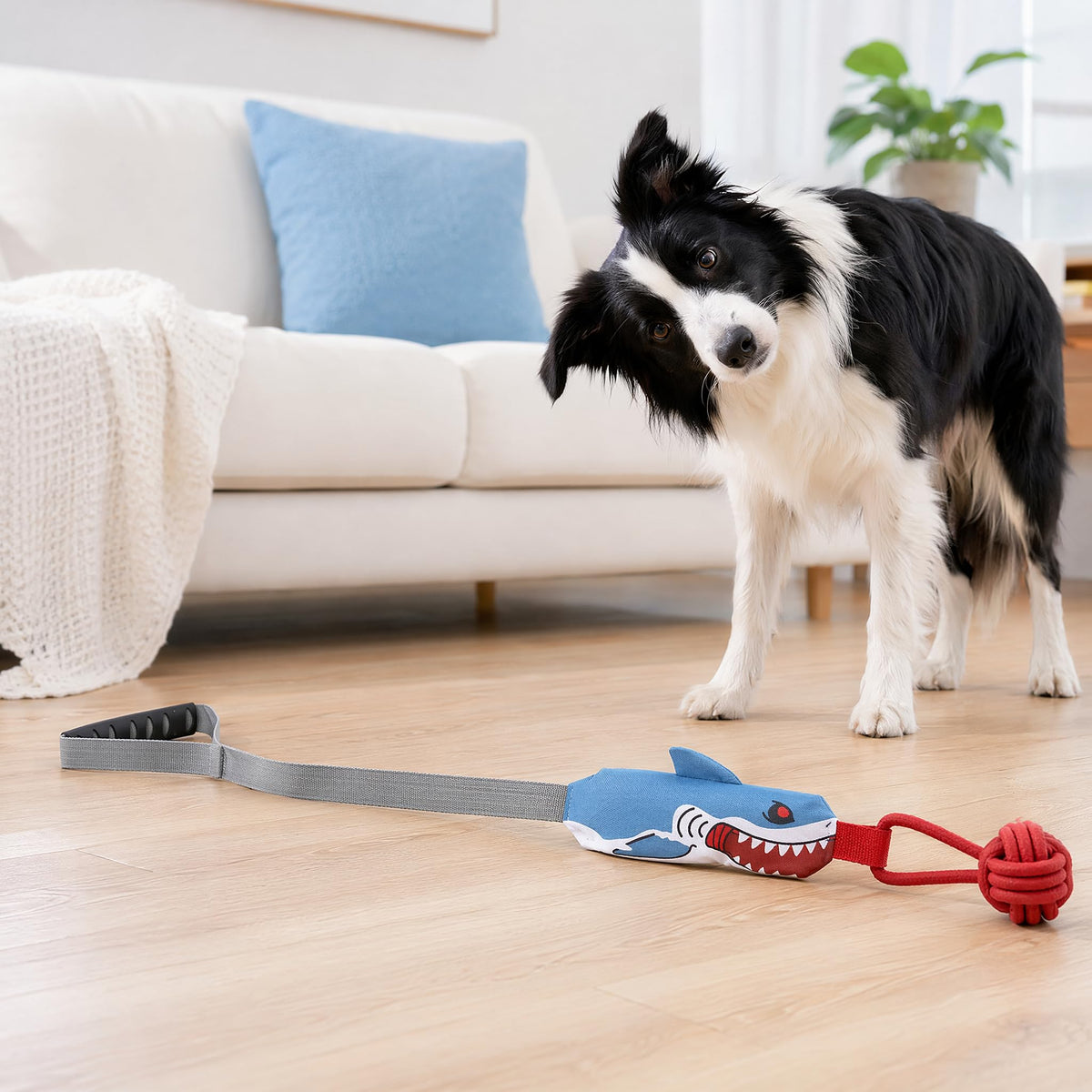 Petananda Shark Dog Tug Of War Toy, Interactive Squeaky Rope Chew Toys For Dogs — in use