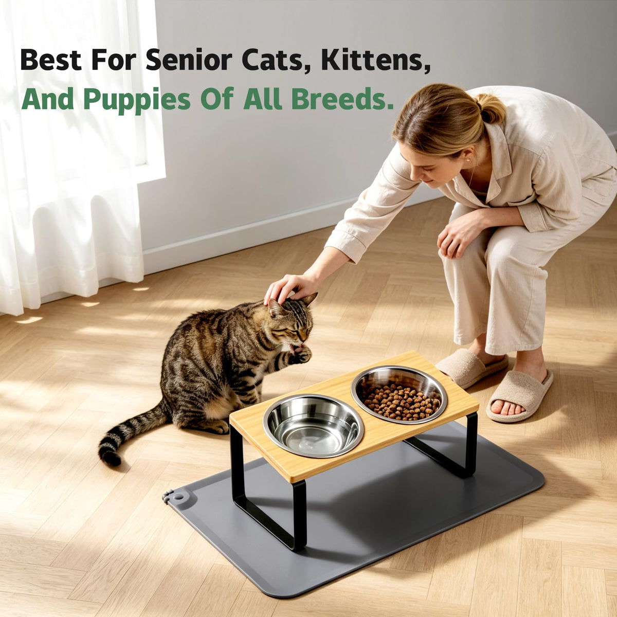 Elevated Tilted Cat Food Bowls With Mat