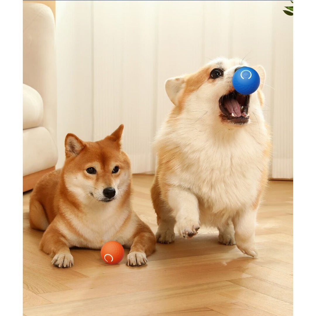 Petananda Gravity Bouncing Electric Interactive Dog Toy Ball For Self-Play, Suitable For Large Dogs & Cats. — in use