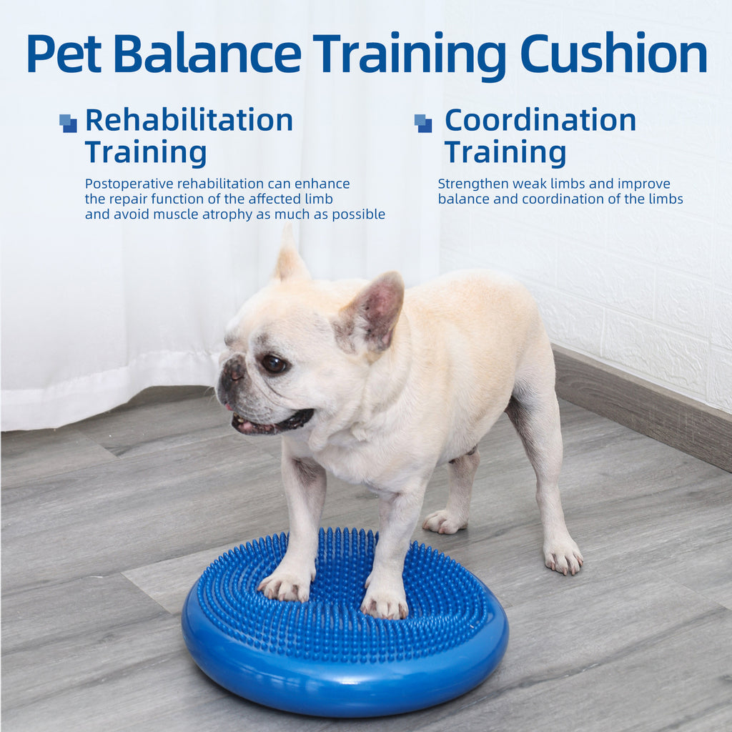 Petananda Thickened PVC Pet Balance Disc & Training Pad — in use