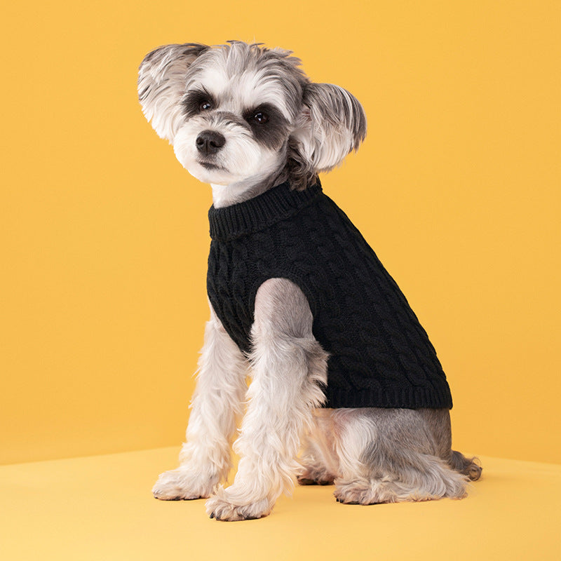 Black cable-knit turtleneck dog sweater on a small dog