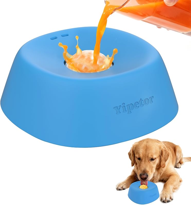 Anti-gulp slow feeder dog bowl with maze ridges