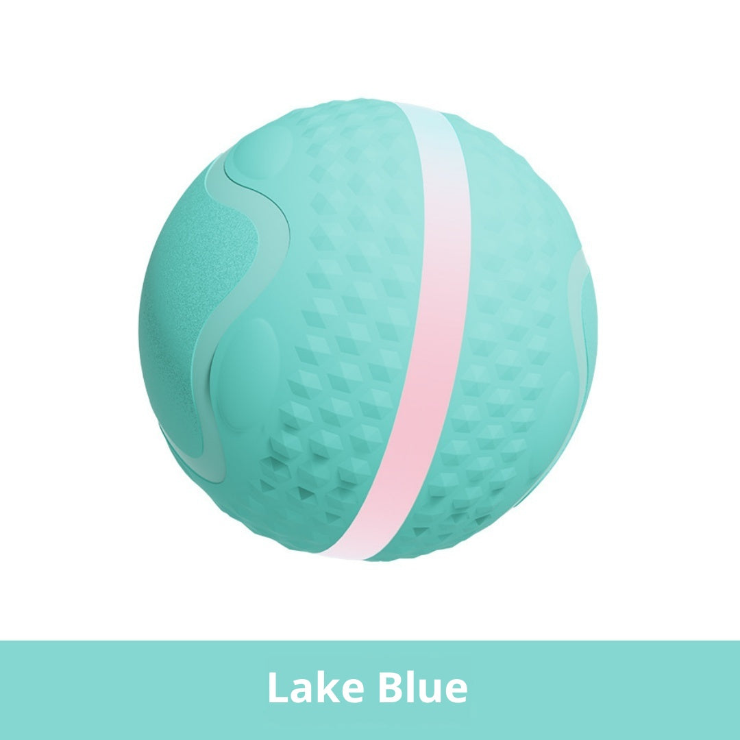 Petananda Smart Electric Luminous Ball Dog & Cat Toy — in use
