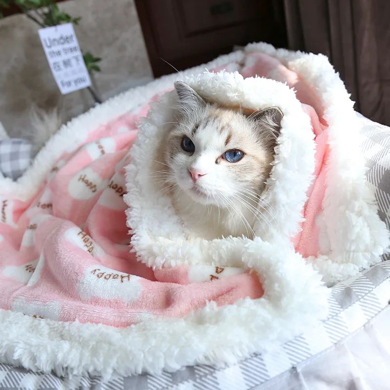 Petananda Thick Lamb Fleece Pet Dog Blanket Soft Flannel Cat And Dog Cushion To Keep Warm — in use
