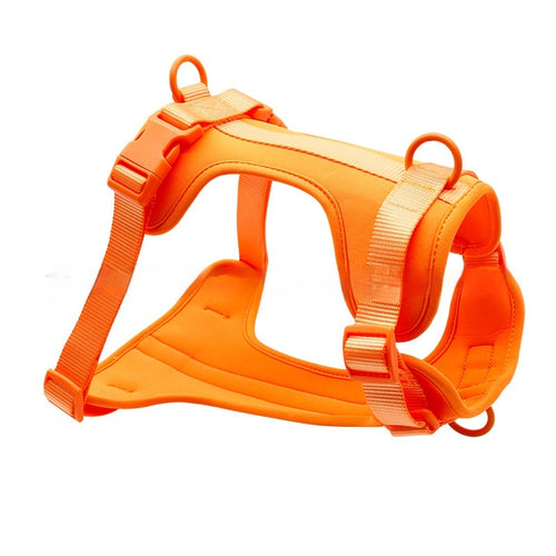 Petananda Breathable And Comfortable Dog Harness Vest — in use