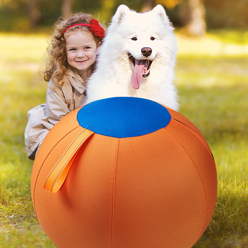 Petananda Giant Dog Ball Toy — in use