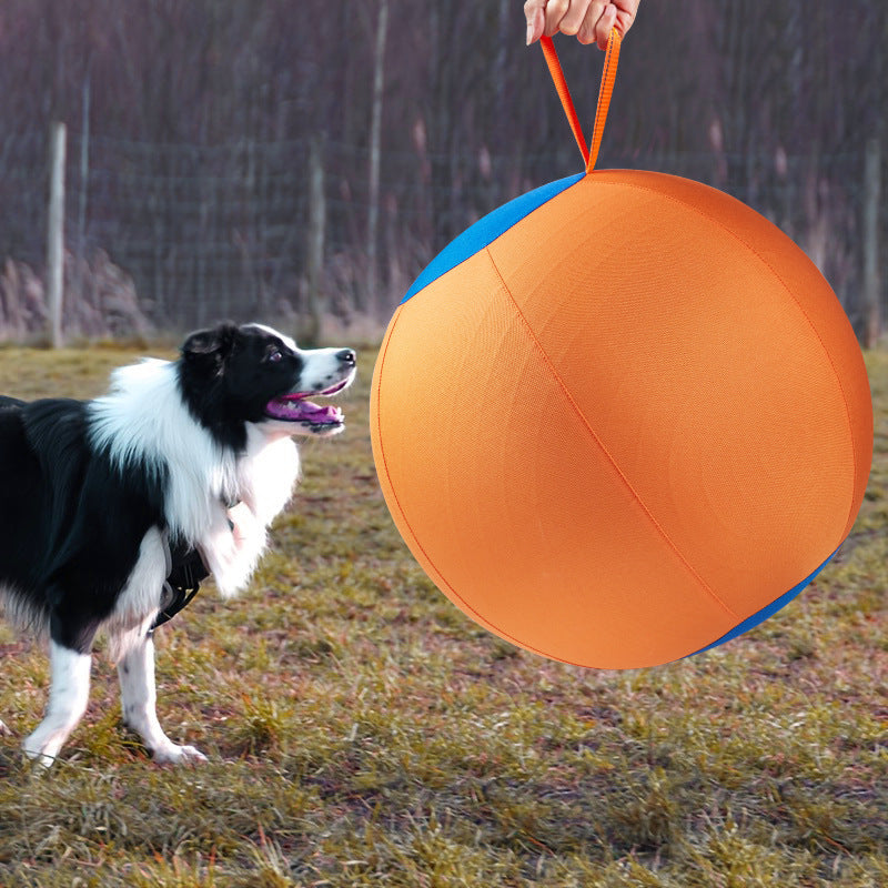 Petananda Giant Dog Ball Toy — in use