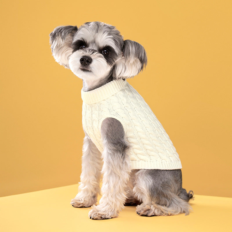Beige cable-knit turtleneck dog sweater on a small dog