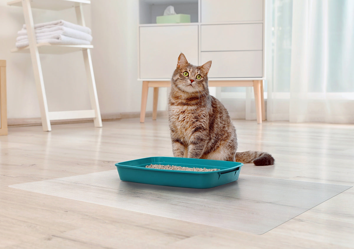 Petananda Frosted PVC Floor Mat -1.5mm Anti-Scratch Waterproof Pet Floor Mat For Dog Cat Feeding Area & Kennel Floor — in use