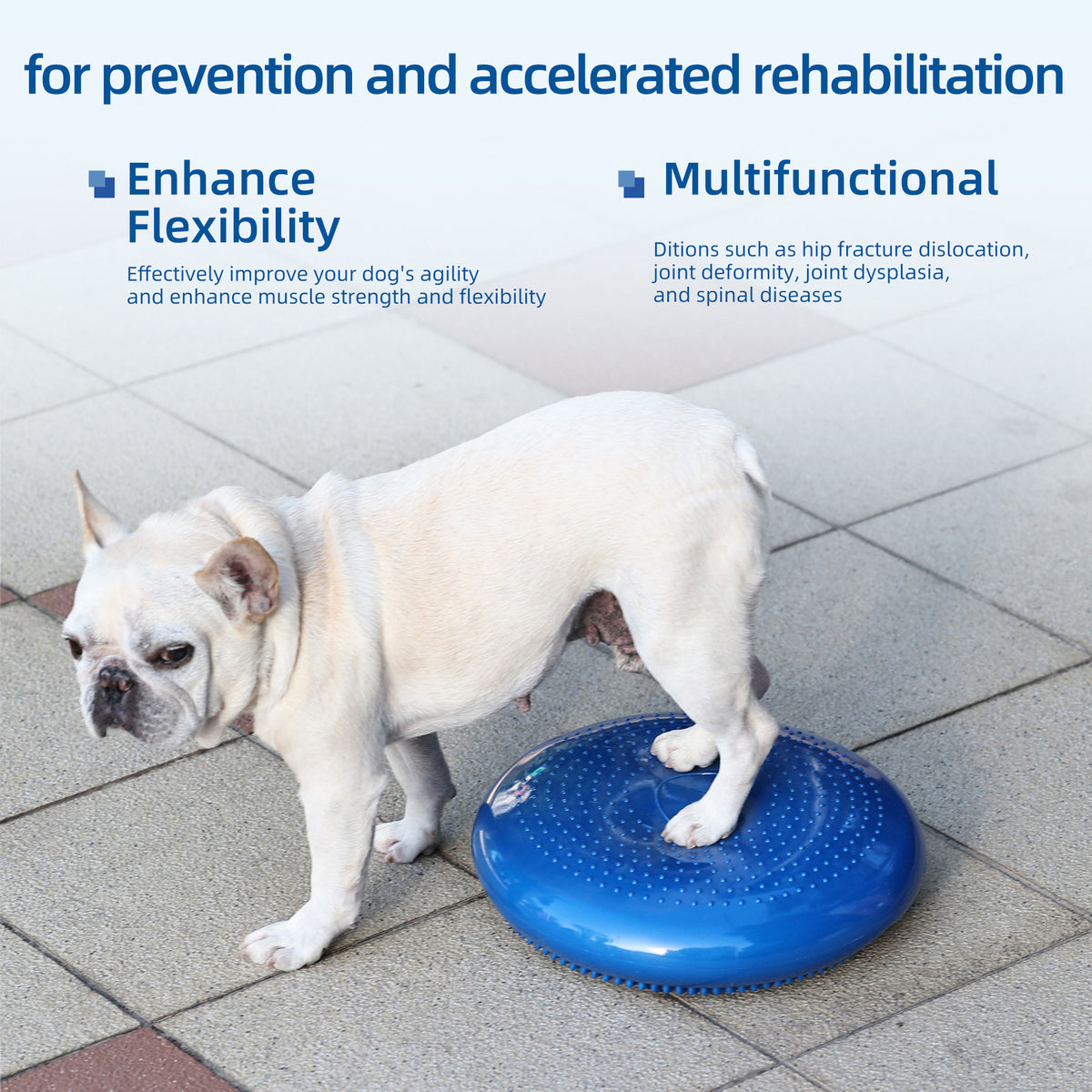 Petananda Thickened PVC Pet Balance Disc & Training Pad — in use