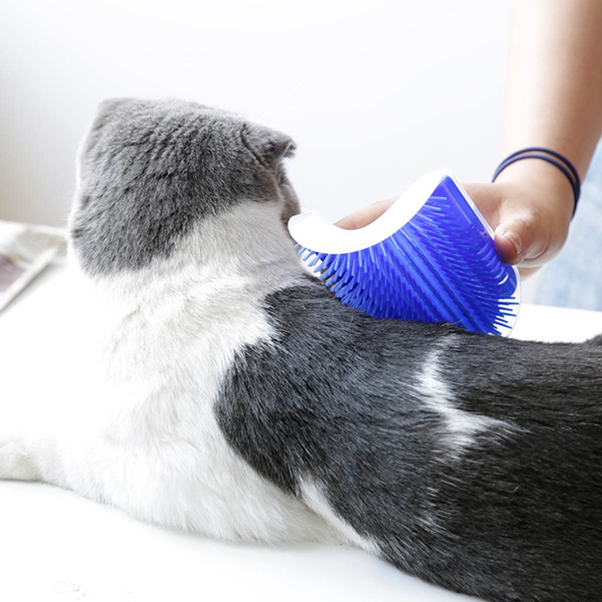 Petananda PurrArch — in use