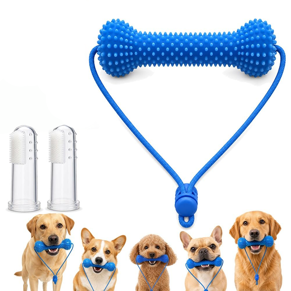 Petananda Dual-Action Dog Dental Chew Toy