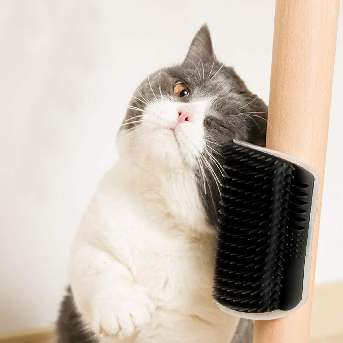 Cat self-grooming on the Petananda PurrArch wall corner brush