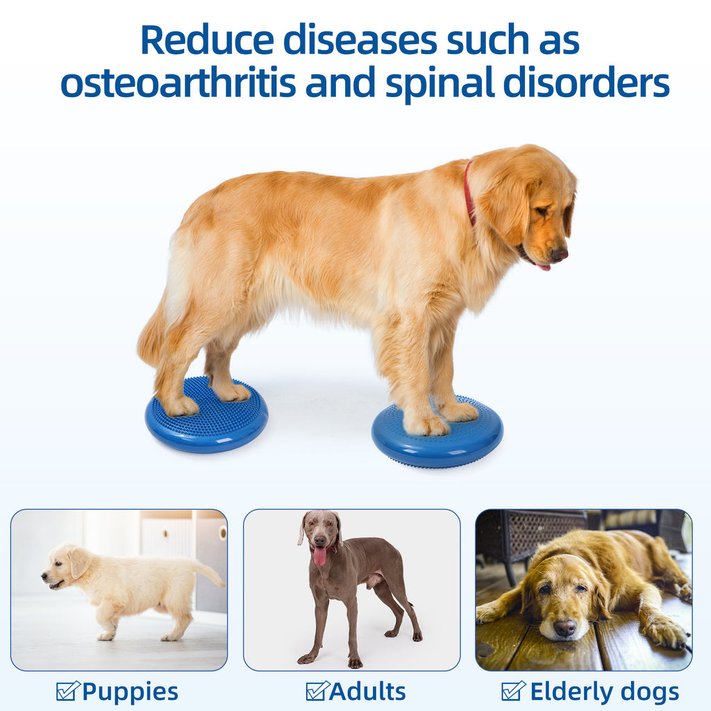 Petananda Thickened PVC Pet Balance Disc & Training Pad — in use
