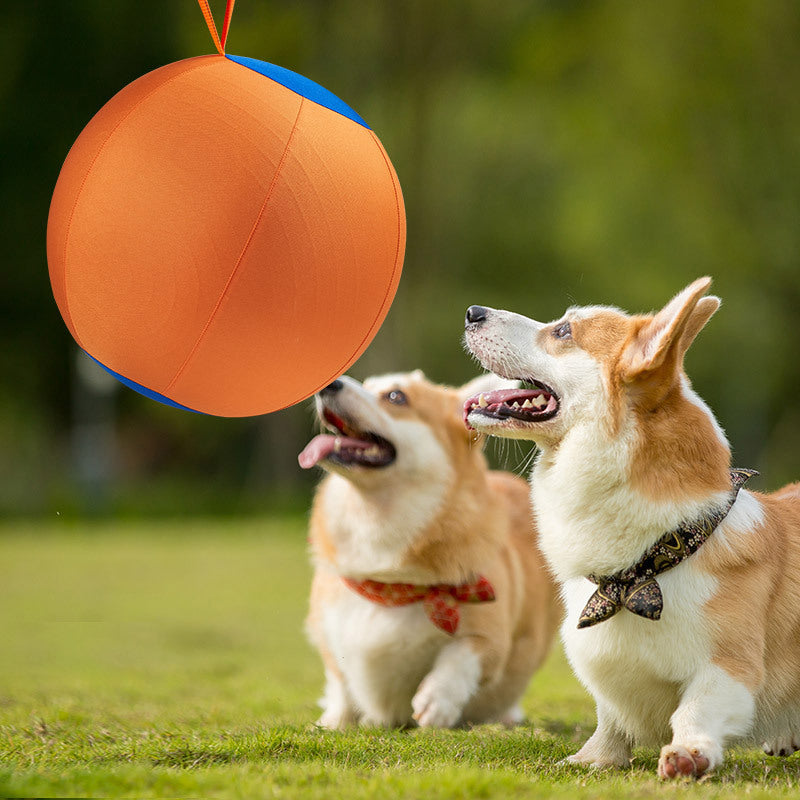 Petananda Giant Dog Ball Toy — in use