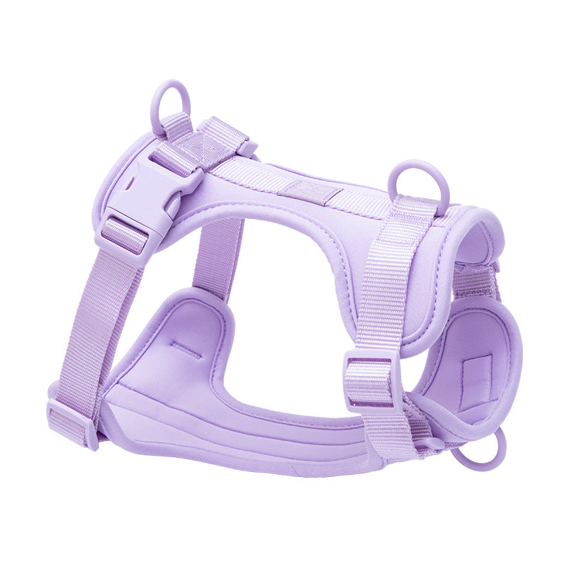 Petananda Breathable And Comfortable Dog Harness Vest — in use