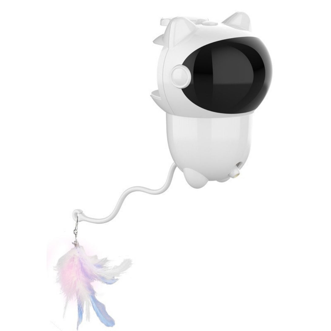 Petananda Laser Cat Wand Toy