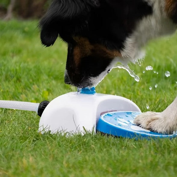Petananda Pet Outdoor Foot Pressure Automatic Water Dispenser — in use