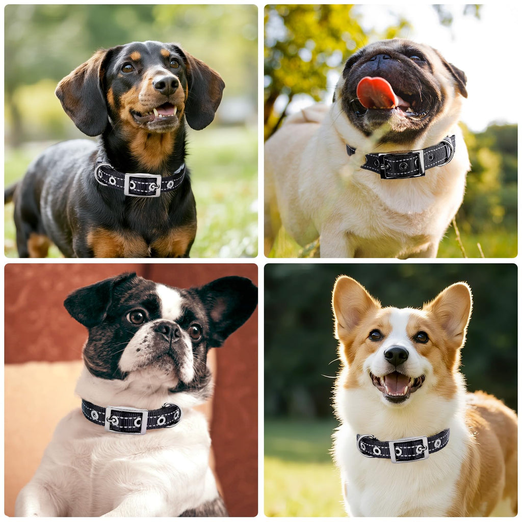 Petananda Reflective Dog Collar For Medium Dogs, Adjustable Wide Soft Comfortable Breathable Neoprene Padded Nylon Collar With Heavy Duty Metal Buckle For Medium Small Breeds — in use