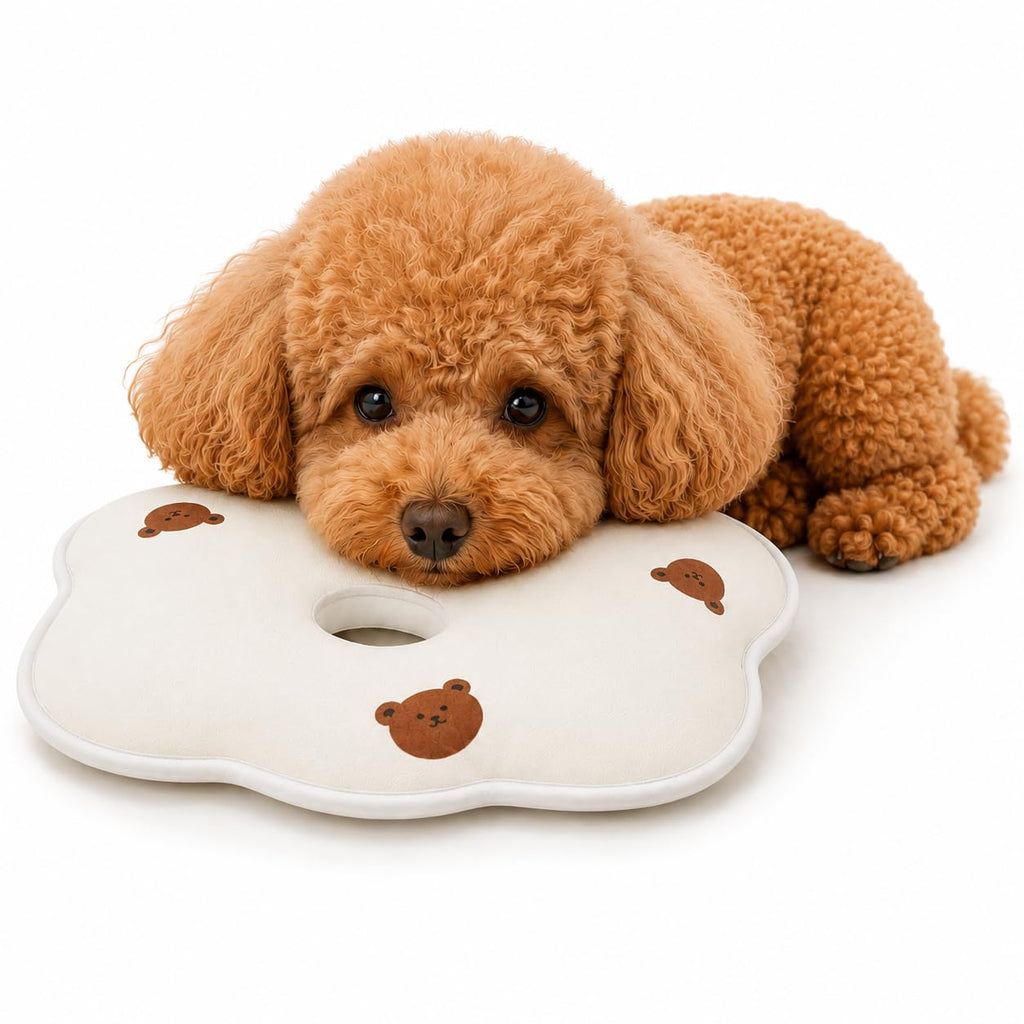 Petananda Soft Memory Foam Pet Pillow For Small Dogs And Puppies - Ergonomic Bear-Shaped Cushion For Head And Neck Support, Cozy Nap Bed For Home And Travel, Cute Bear Print Design — in use